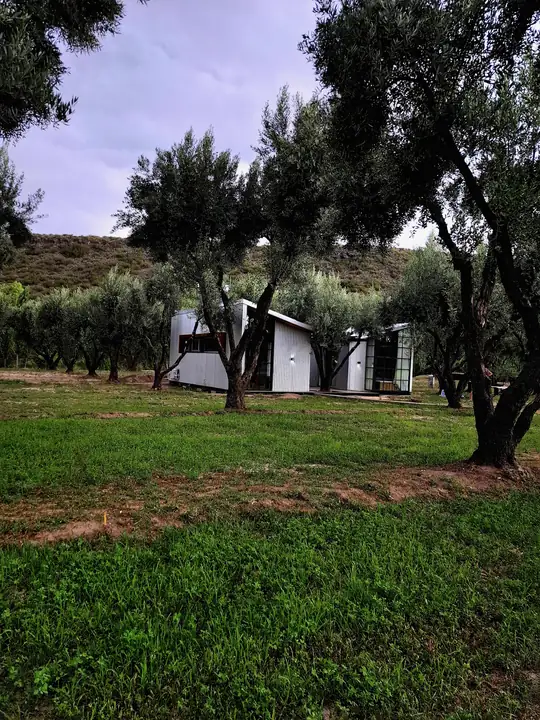 Cabaña de madera y vidrio entre los olivos