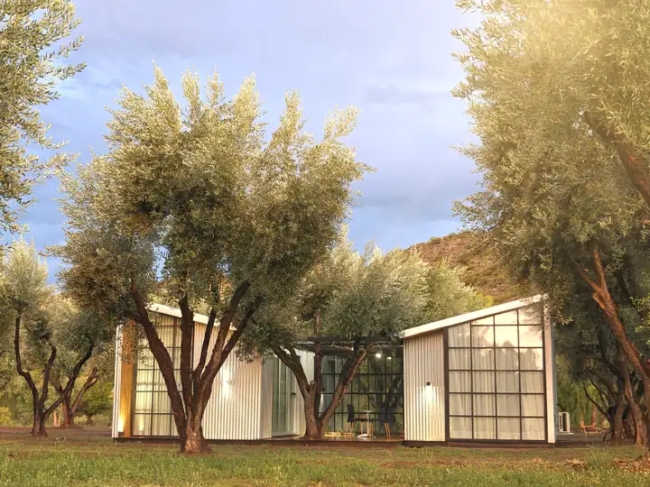 Cabañas entre olivos al atardecer