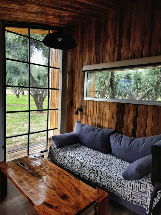 Living con ventanales al olivar